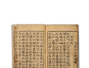 기사이미지