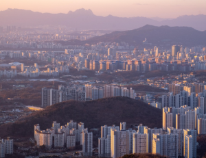 기사이미지