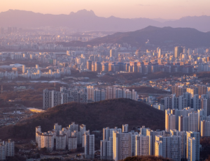 기사이미지